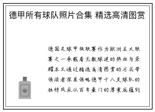 德甲所有球队照片合集 精选高清图赏