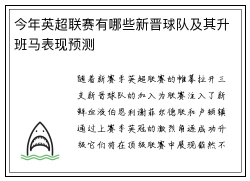 今年英超联赛有哪些新晋球队及其升班马表现预测